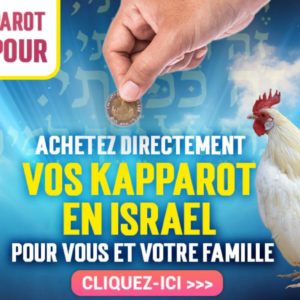 Kapparot - 1 Personne - 18€