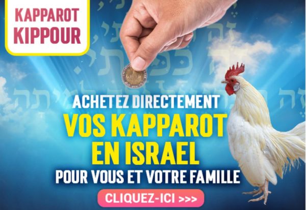 Kapparot - 1 Personne - 18€